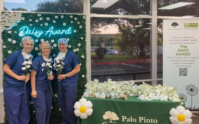 Palo Pinto General Hospital Joins International Program To Recognize Nurses For Exemplary Care And Compassion